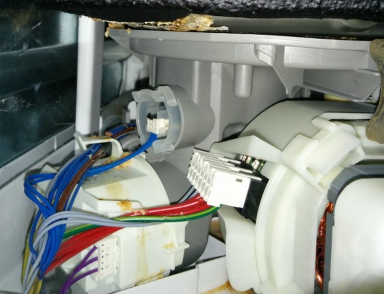 Bosch Dishwasher Not Draining Surfers Paradise