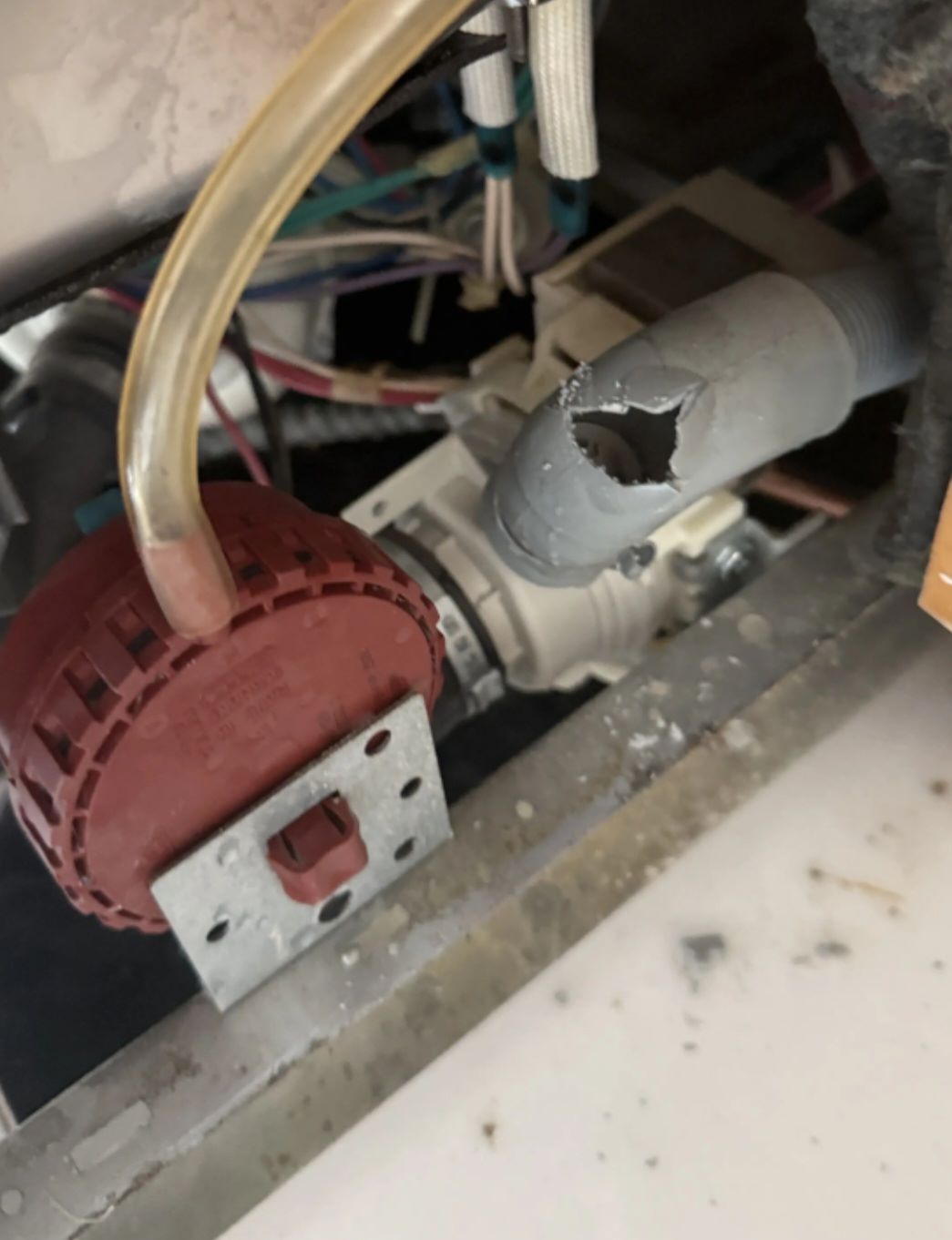 Dishwasher fault codes Elanora