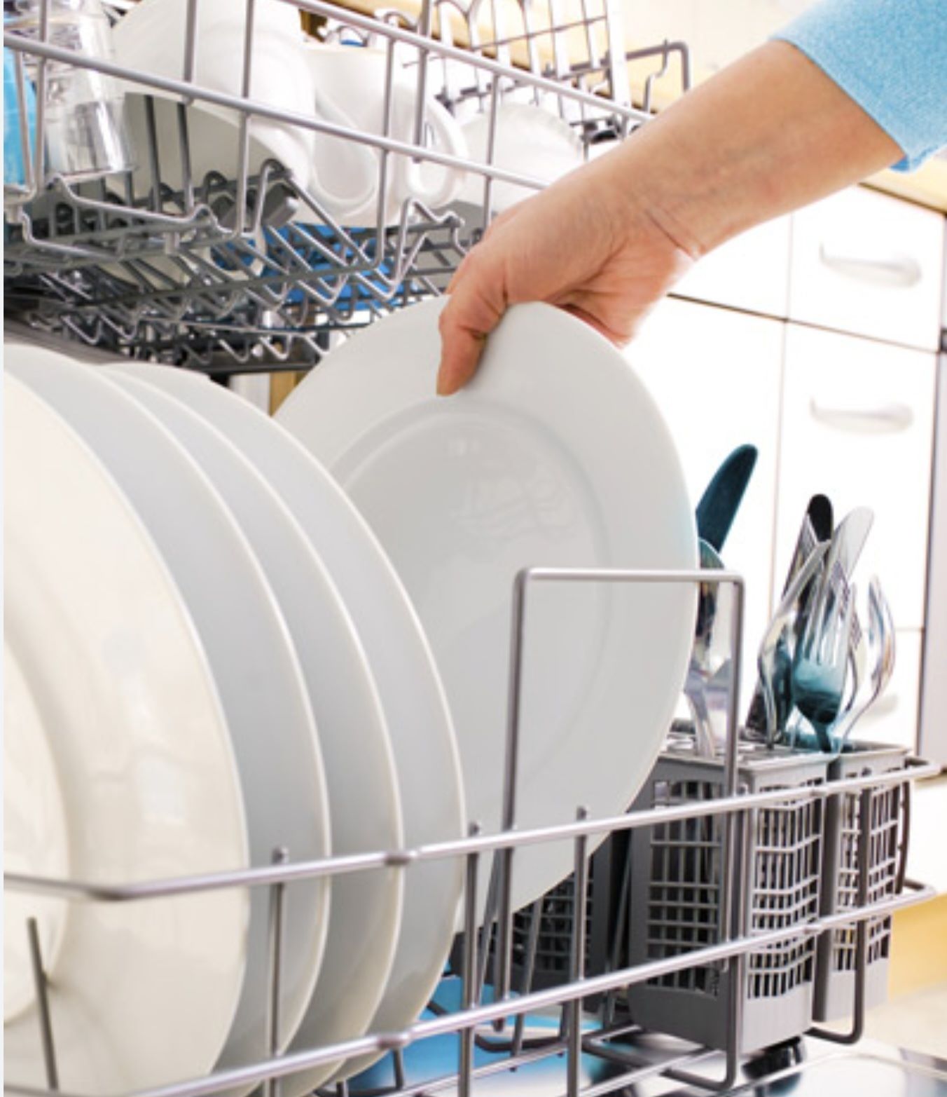 Dishwasher fault codes Reedy Creek