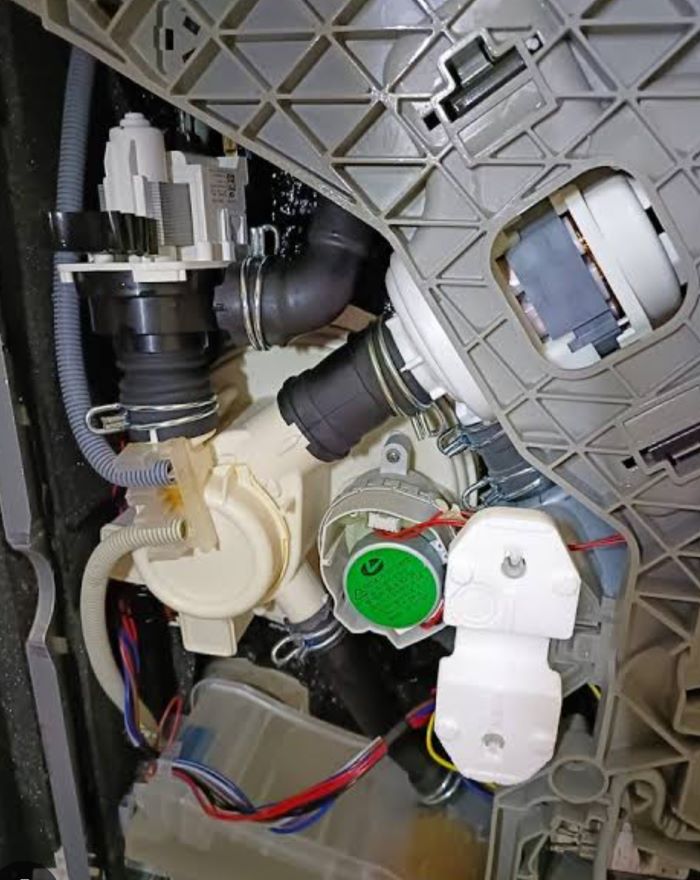 Dishwasher repair technician Burleigh Waters