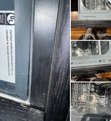 Fisher and Paykel DishDrawer F1 error repair Southport