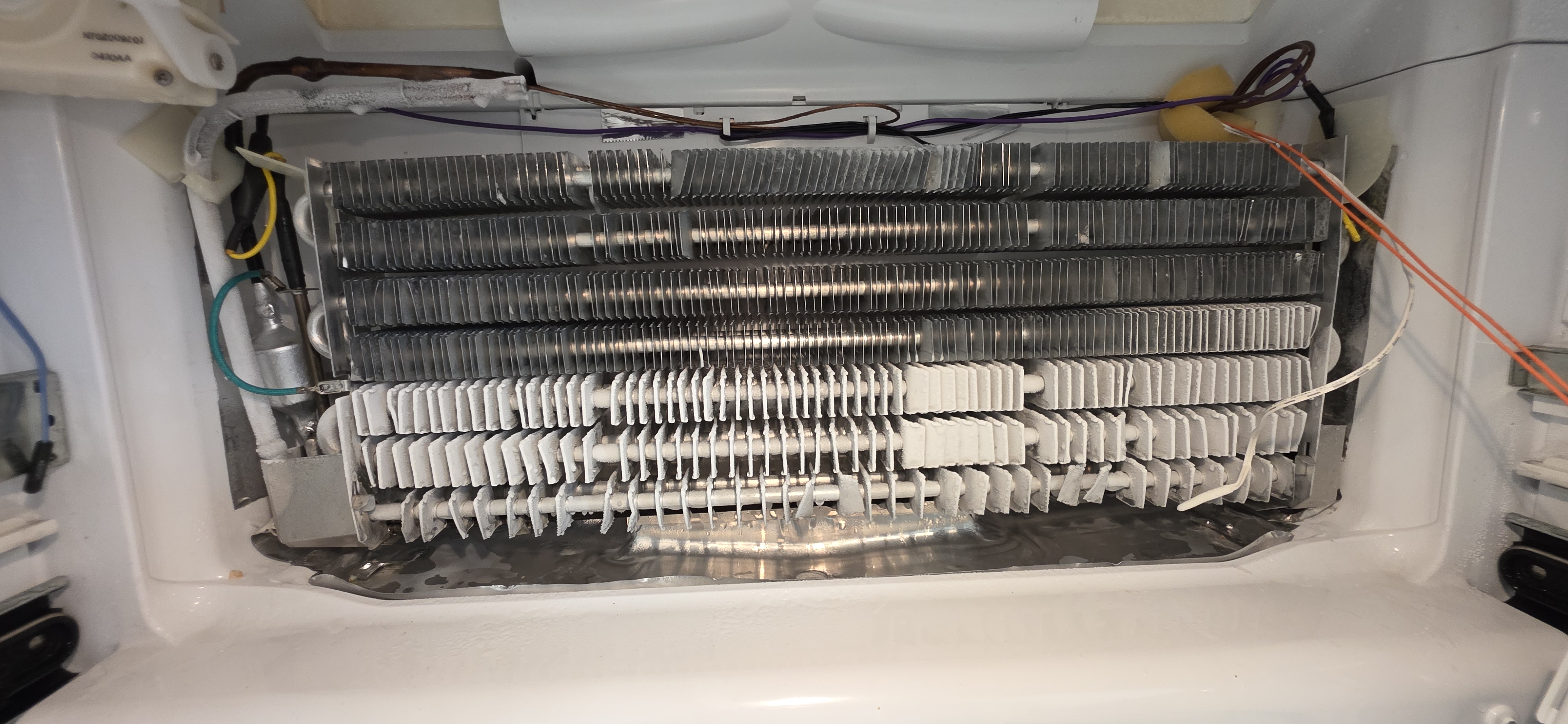 Hisense refrigerator not cooling repair in Mermaid Waters Gold Coast by ISB Electrical