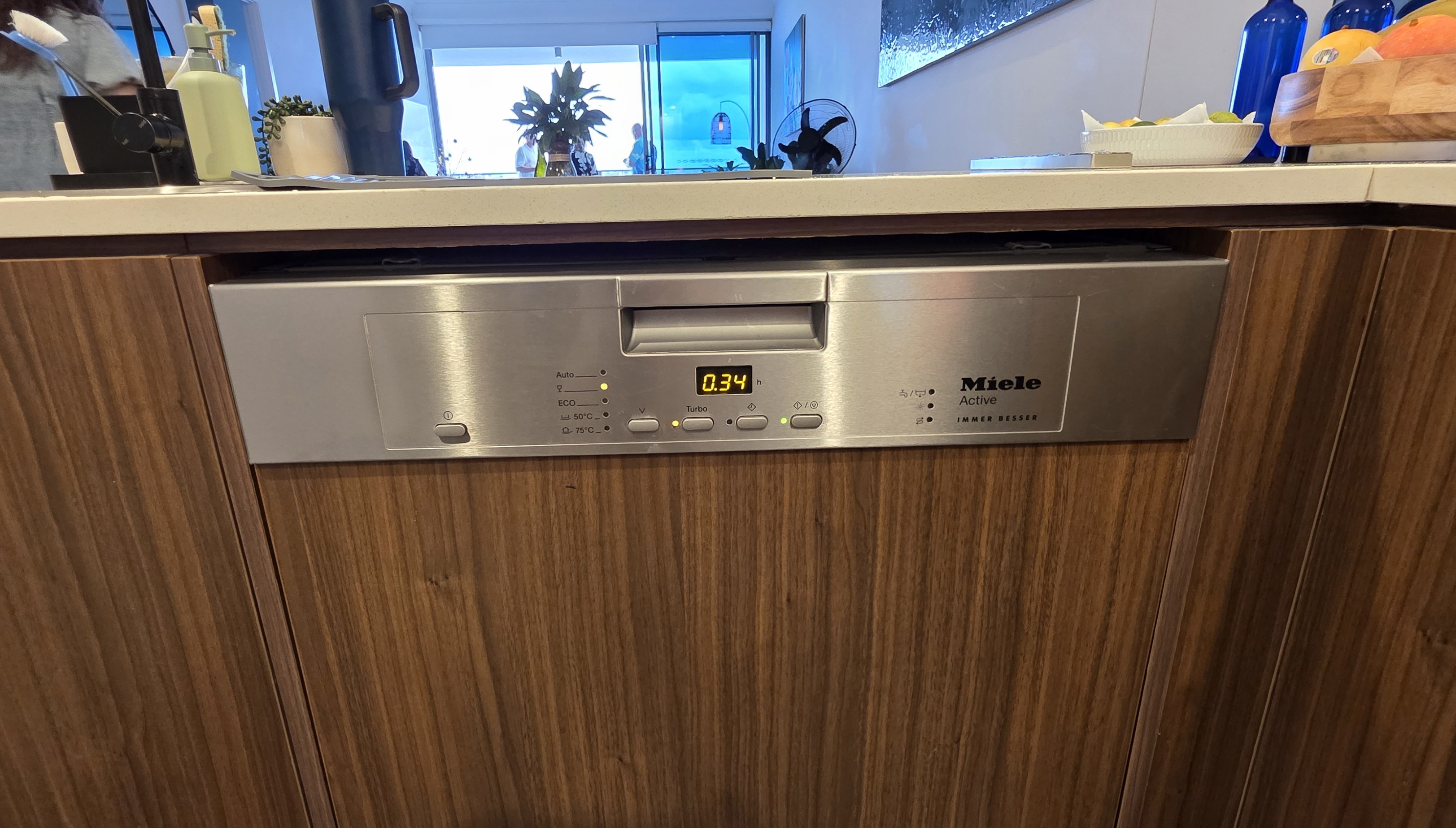 Miele dishwasher not draining repair in Biggera Waters by ISB Electrical